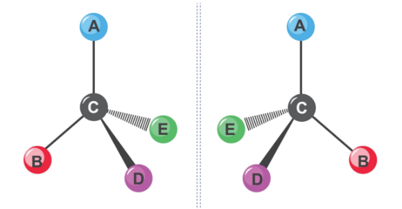 כששתי מולקולות הן תמונת מראה זו של זו, הן מורכבות מאותם אטומים – אך הסידור שלהם במרחב ביחס למרכז המולקולה שונה, ולפיכך גם התכונות שלהן. מולקולות כיראליות | Shutterstock, SANDIP NEOGI 