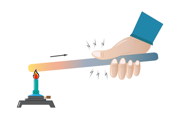 הולכת חום אחראית לכך שאם נחמם חומר מסויים בקצה אחד, אז גם הקצה השני שלו יתחמם. אילוסטרציה של חימום מוט מתכת | Shutterstock, SANDIP NEOGI