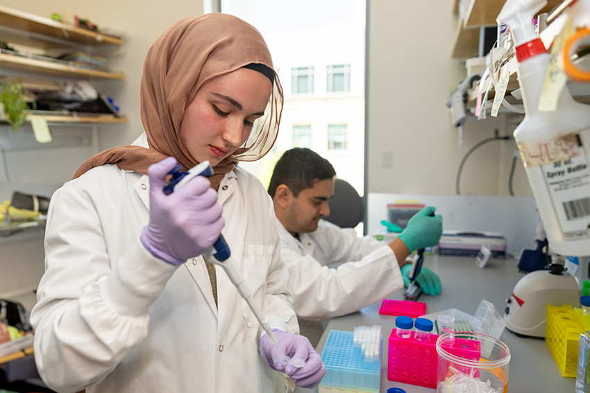 השינוי הגנטי באזורים אחרים ב-DNA לא גרם נזק. חוקר וחוקרת בודקים היכן "עריכת בסיס" משנה את רצף הגנטי | צילום: Innovative Genomics Institute