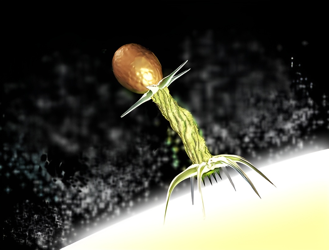 בשיטה הזאת נגיפים מדביקים את תאי הסרטן והורגים אותם, כשהם מנצלים את העובדה שבדרך כלל תאים כאלו מתקשים יותר להתגונן מפני נגיפים. אילוסטרציה של נגיף נצמד לתא | Spencer Sutton / Science Photo Library