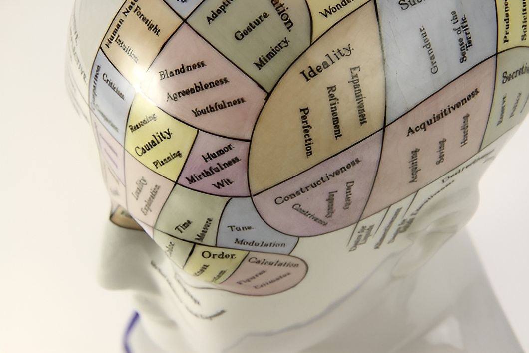 פרנולוגיה: תיאוריה פסאודו-מדעית מהמאה ה-19 שקישרה בין מבנה הגולגולת לתכונות אופי ולאישיות של האדם. פסל המציג תכונות אופי ומיקומן על גבי הגולגולת | Science Source / Science Photo Library