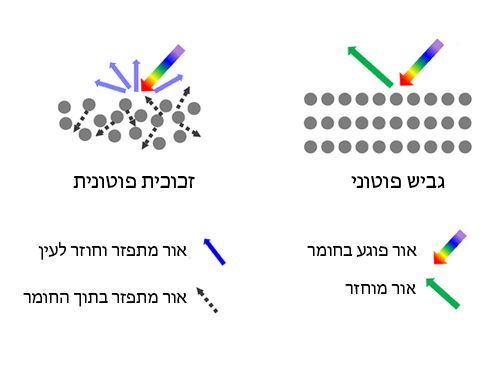 זכוכיות פוטוניות, כמו גבישי השעווה באוכמניות, מאופיינות בסידור אקראי של תתי-המבנים בחומר ויוצר צבע לא בוהק. אילוסטרציה של גביש פוטוני מול זכוכית פוטונית | מתוך המאמר Yao et al., 2023