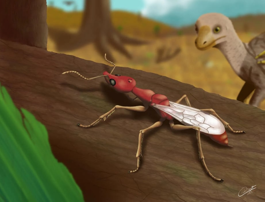 "כבר הנמלים הקדומות ביותר פיתחו אסטרטגיות ציד מתוחכמות". אילוסטרציה של הנמלה מלפני 113 מיליון שנים | Diego M. Matielo 