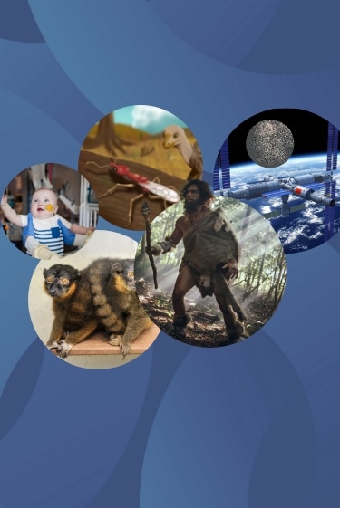 המחקרים החדשים ביותר: מהנשמדע 24/5/2025