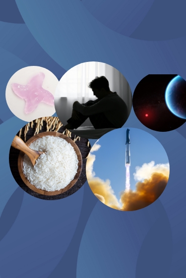 המחקרים החדשים ביותר: מהנשמדע 31/5/2025