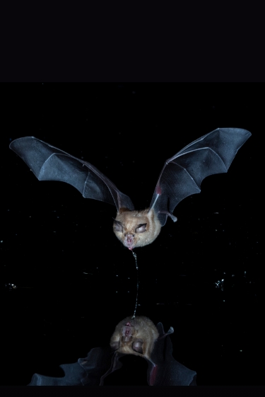 ואם כבר לשתות אז שיהיה בתנועה