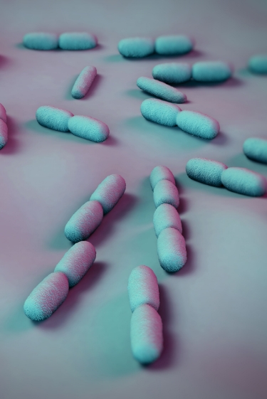 מחלות ללא גבולות: ליסטריה באוכל, חצבת בכל מקום