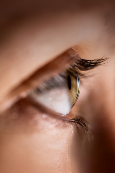 תאי גזע לשיקום הראייה