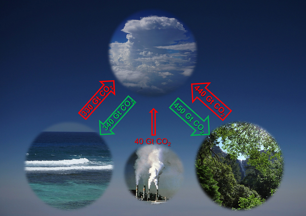 ליטה של פחמן דו-חמצני משריפת דלקים וספיגה ופליטה שלו על ידי האוקיינוסים והיערות. מחזור הפחמן בכדור הארץ | NASA/JPL
