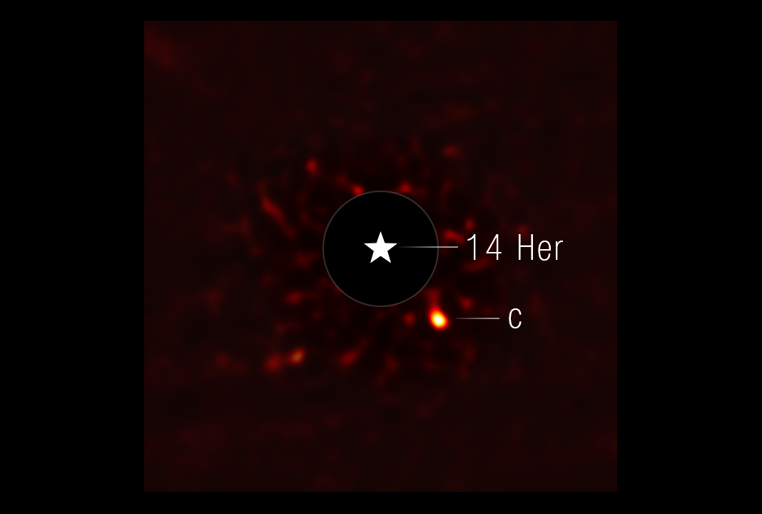 תחום מחקר חדש נפתח בזכות היכולת לצפות בכוכבי לכת קרים יחסית. כוכב הלכת 14 Herculis c  בתיעוד של טלסקופ ג'יימס וב | צילום: NASA, ESA, CSA, STScI, William Balmer (JHU), Daniella Bardalez Gagliuffi (Amherst College)