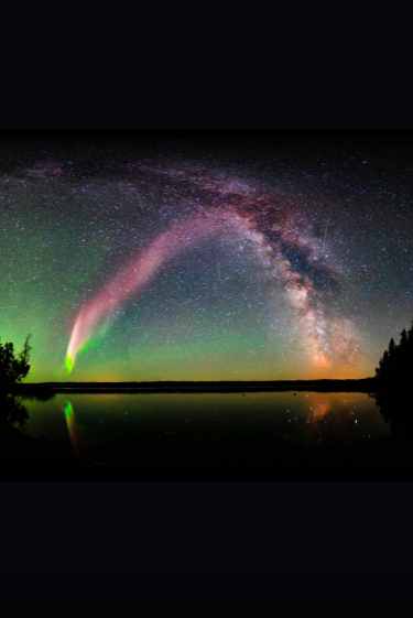 אור ושמו סטיב