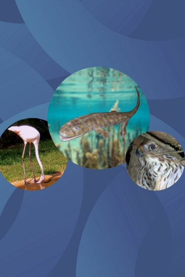 המחקרים החדשים ביותר: מהנשמדע 7/6/2025