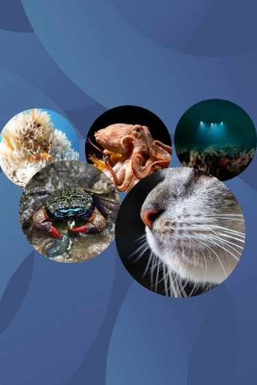 המחקרים החדשים ביותר: מהנשמדע 14/6/2025