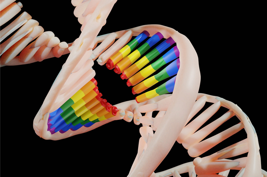 אין גן אחד להומוסקסואליות, יש גנים רבים. מודל תלת ממד של הסליל הכפול, עם גן בצבעי גאווה | איור: Love Employee, Shutterstock
