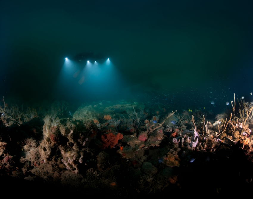 עד כה צולמו פחות מפרומיל משטח קרקעית הים. צוללן חוקר ספינה טבועה | Shutterstock, Subphoto.com