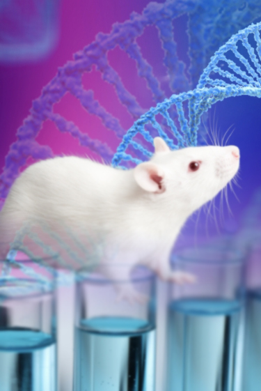 המתג שמצמיח איברים