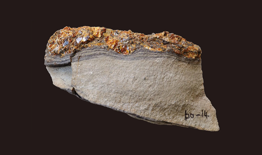 השרף היה עדיין רך וצמיגי כששקע לקרקעית הים. הענבר הצמוד לשכבת אבן חול | A. Kubota et al./Scientific Reports 2025