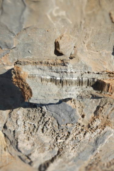 צינורות דקיקים אל העבר הרחוק