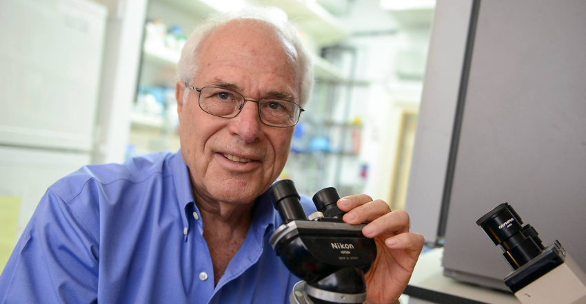 הקדים את זמנו בדור שלם, אבל זכה לחוות את ההצלחה בשנים האחרונות. פרופ' זליג אשחר | צילום: מכון ויצמן למדע