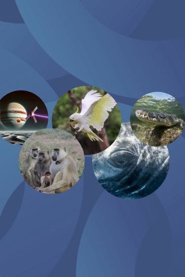 המחקרים החדשים ביותר: מהנשמדע 12/7/2025