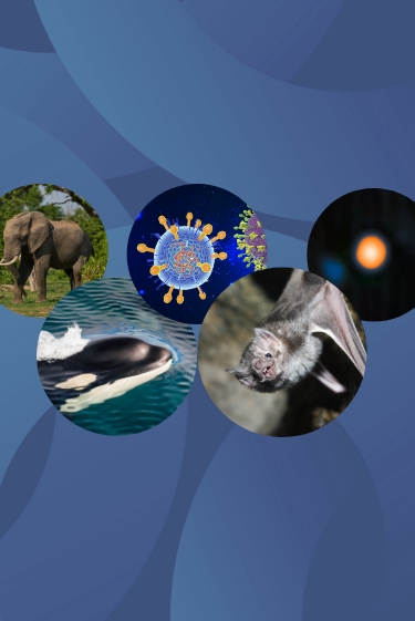 המחקרים החדשים ביותר: מהנשמדע 26/7/2025