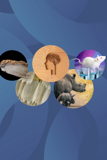 המחקרים החדשים ביותר: מהנשמדע 5/7/2025