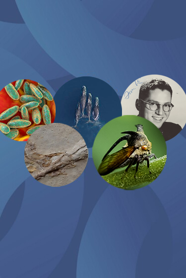 המחקרים החדשים ביותר: מהנשמדע 2/8/2025