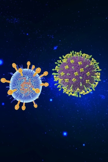 שני נוגדנים בחיסון אחד