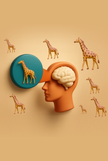 הטיית הזמינות