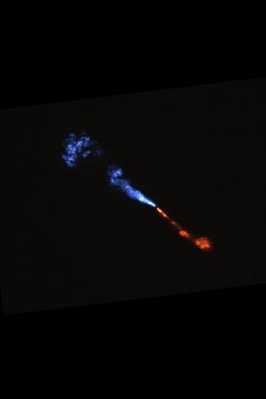 כוכב (לכת) נולד