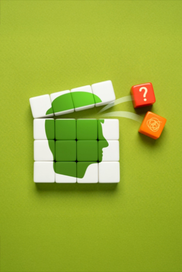 בעיות ניווט בעולם מוצף מידע