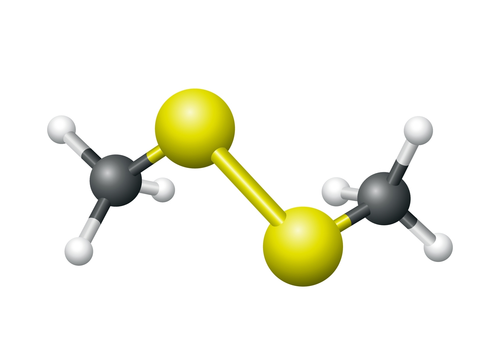 במינים המפיצים ריח מסריח בולטת קבוצת תרכובות גופרית, ובראשן דימתיל דיסולפיד. מולקולת דימתיל דיסולפיד | Peter Hermes Furian, Shutterstock