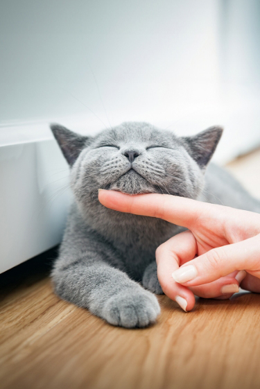 מי שמגרגר גם מברבר