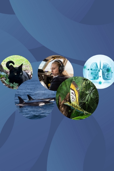 המחקרים החדשים ביותר: מהנשמדע 16/8/2025