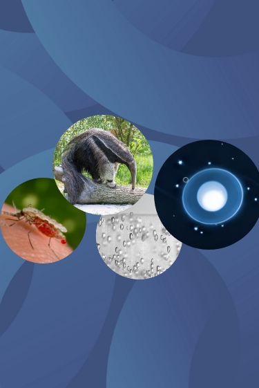 המחקרים החדשים ביותר: מהנשמדע 23/8/2025