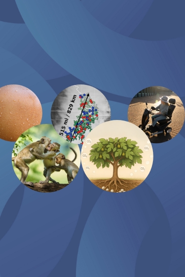 המחקרים החדשים ביותר: מהנשמדע 9/8/2025