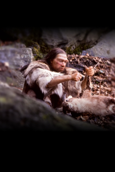 תפריט הרימות של האנשים הקדומים