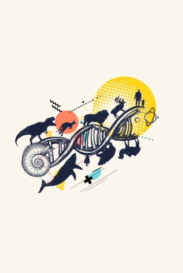 האבולוציה חיה וקיימת