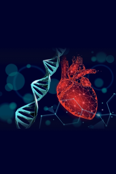 לשקם את הלב על ידי הגֵנים