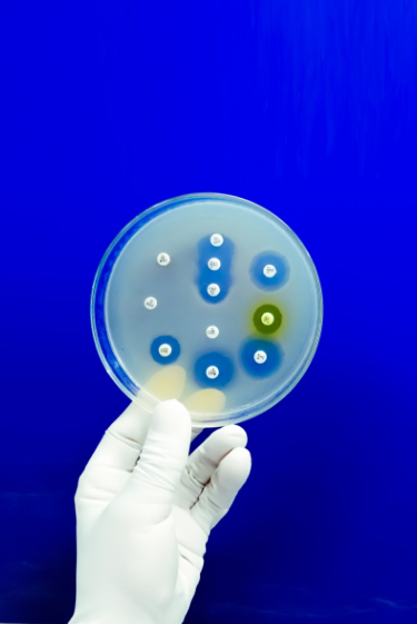 אנטיביוטיקה עם הגנה כפולה