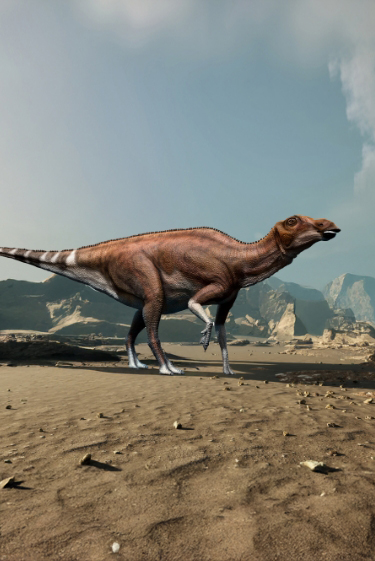 חלבונים כארכיון ביולוגי של העבר