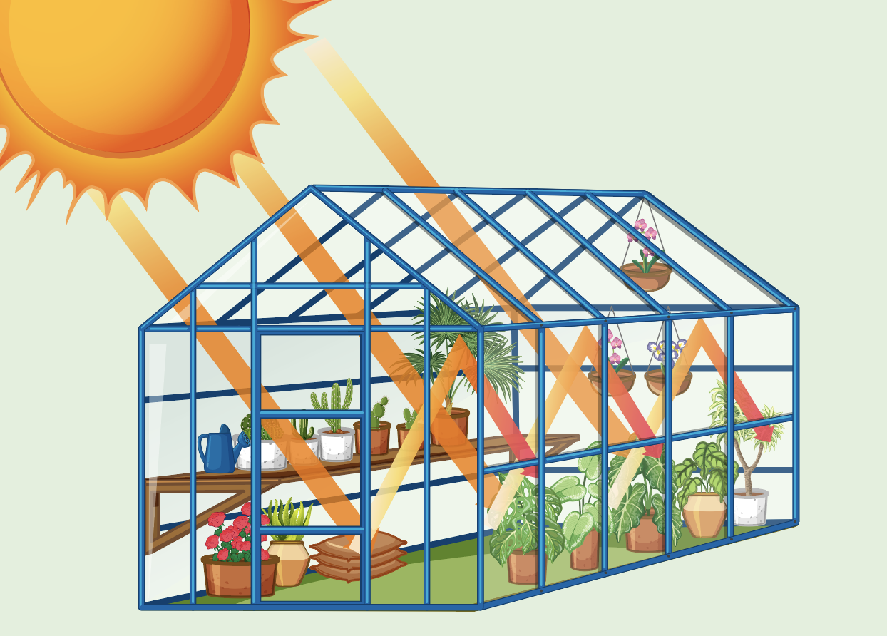 חממה מאפשרת לקרינה להיכנס אך כולאת את האוויר החם, וכך שומרת על החום גם כשבחוץ קר | איור: BlueRingMedia, Shutterstock