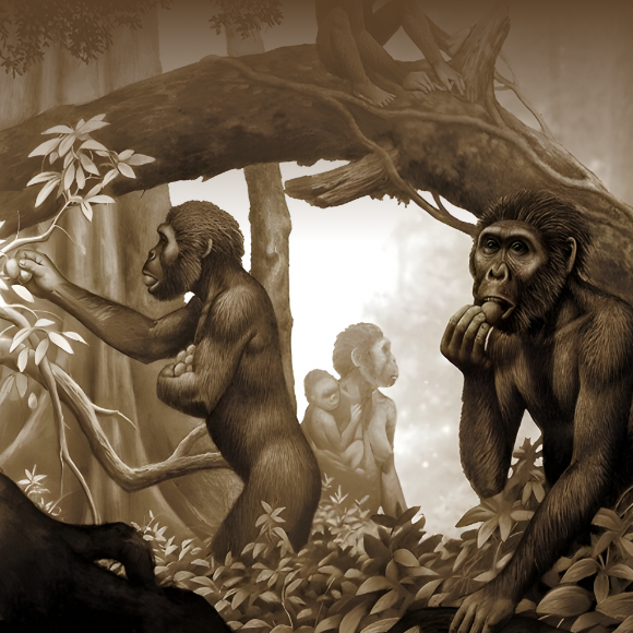 قصّة تناول اللّحوم