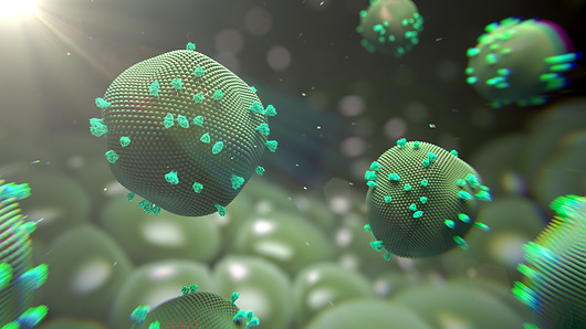 יכול לשרוד באוויר במקומות סגורים עד שעתיים לאחר שהחולה עזב את המקום והוא הנגיף המידבק ביותר בעולם. נגיפי חצבת | איור: Thom Leach / Science Photo Library