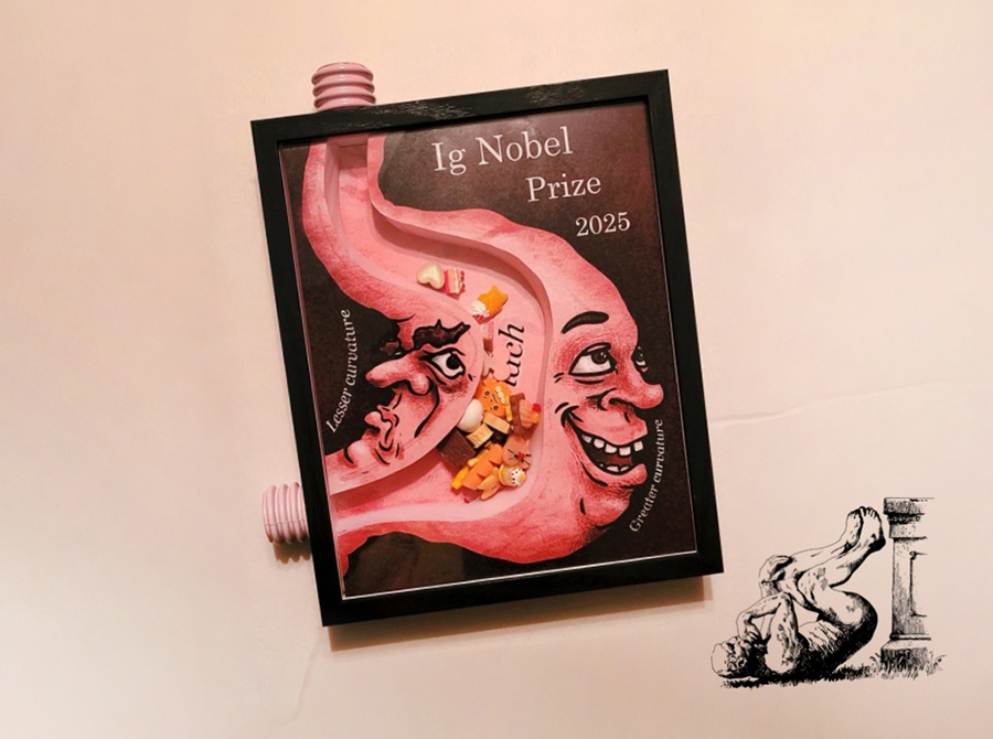 מוענק לחוקרים שתוצאות מחקריהם או המצאותיהם "גורמות לאנשים לצחוק ואז לחשוב".פרס איג נובל 2025 | צילום מסך מתוך הטקס