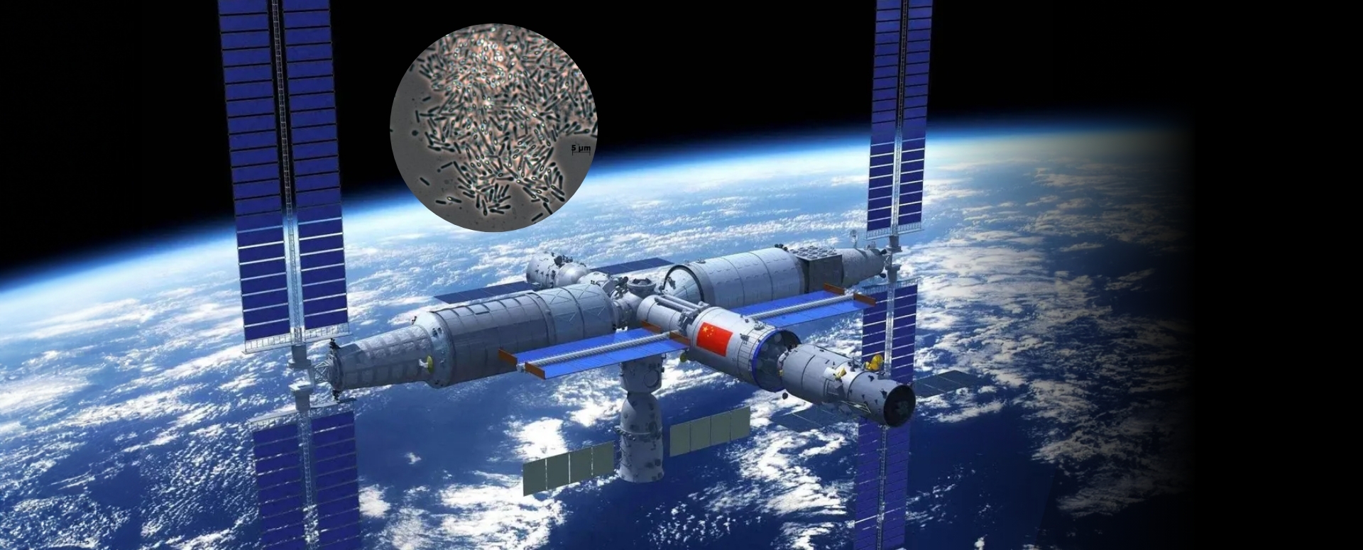 Microbes from Space: New Species Discovered on Tiangong Station