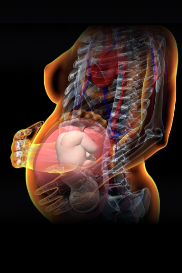 בית חרושת נגיפי קדום לייצור דם