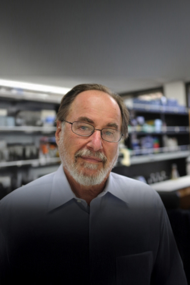 החוקר שהריץ את הנגיפים לאחור