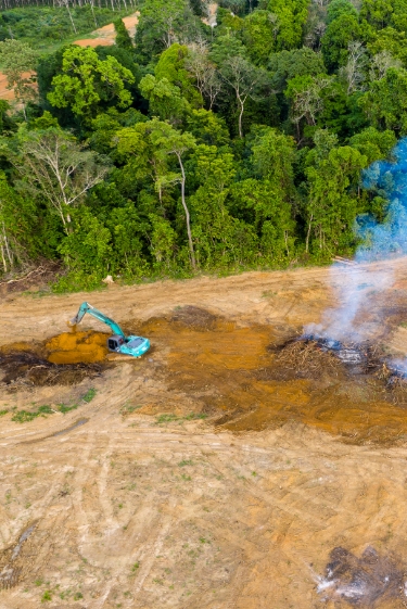 גשם בסכנת הכחדה