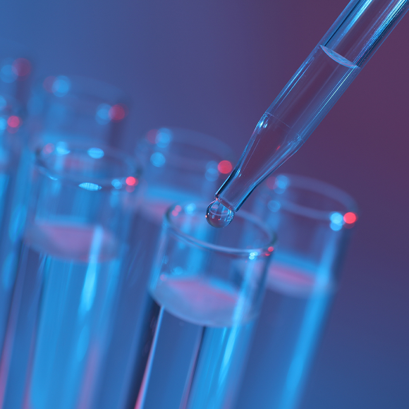 أمراض بلا حدود: الحصبة في الولايات المتّحدة الأمريكيّة